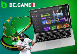 Understanding Bc.Game Bet Types A Comprehensive Guide Understanding Bc.Game Bet Types A Comprehensive Guide